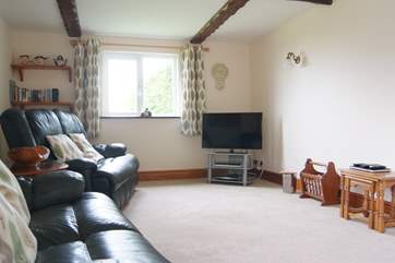 A big TV for family film nights.