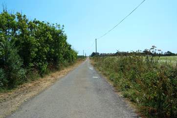 As you turn in through the gateway, this is the view along the private road leading down to Coverack Headland.