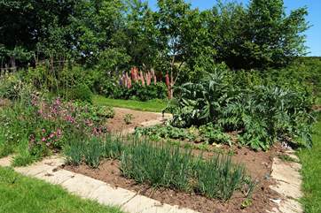 Guests are welcome to home-grown vegetables from the garden.